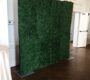green-boxwood-flower-wall