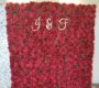 red-rose-flower-wall-rental