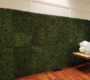 green-boxwood-824-backdrop