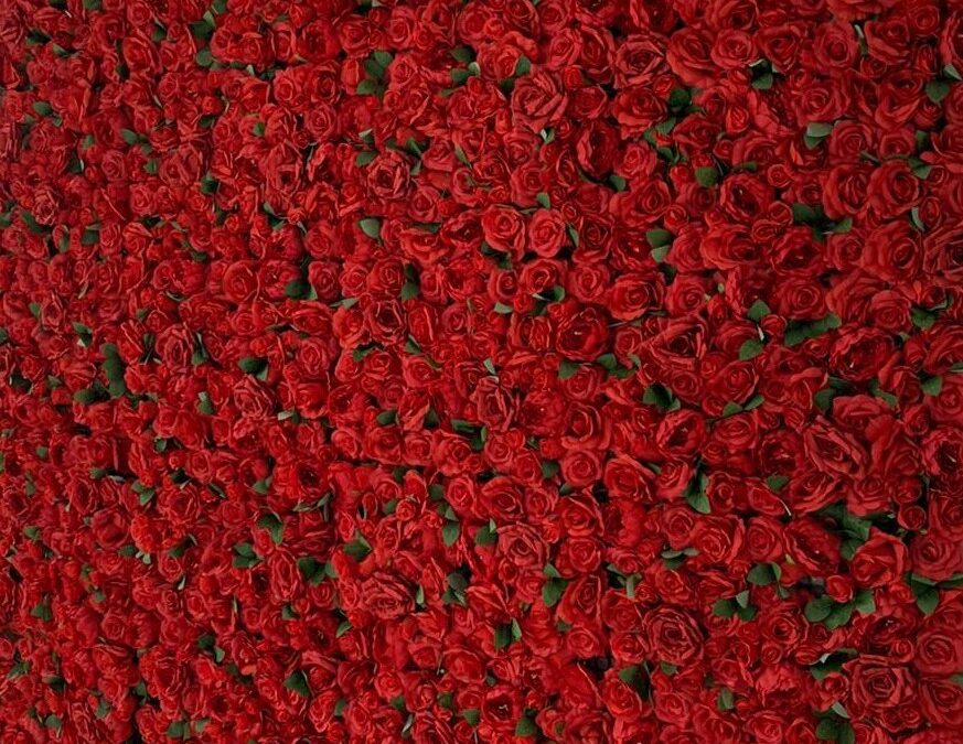 red flower wall mississauga rental