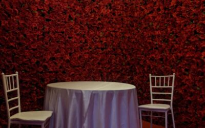 Toronto Winter Wedding Flower Backdrops Rental