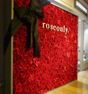 Red Rose - North York Flower Wall Backdrop 