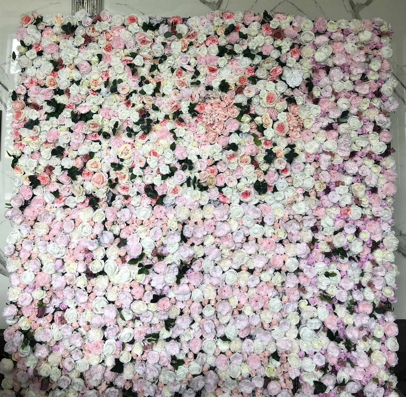 Mixed Rent Flower Wall Newmarket