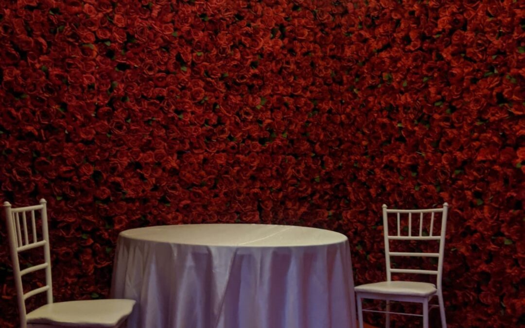 red rose wall backdrop north york