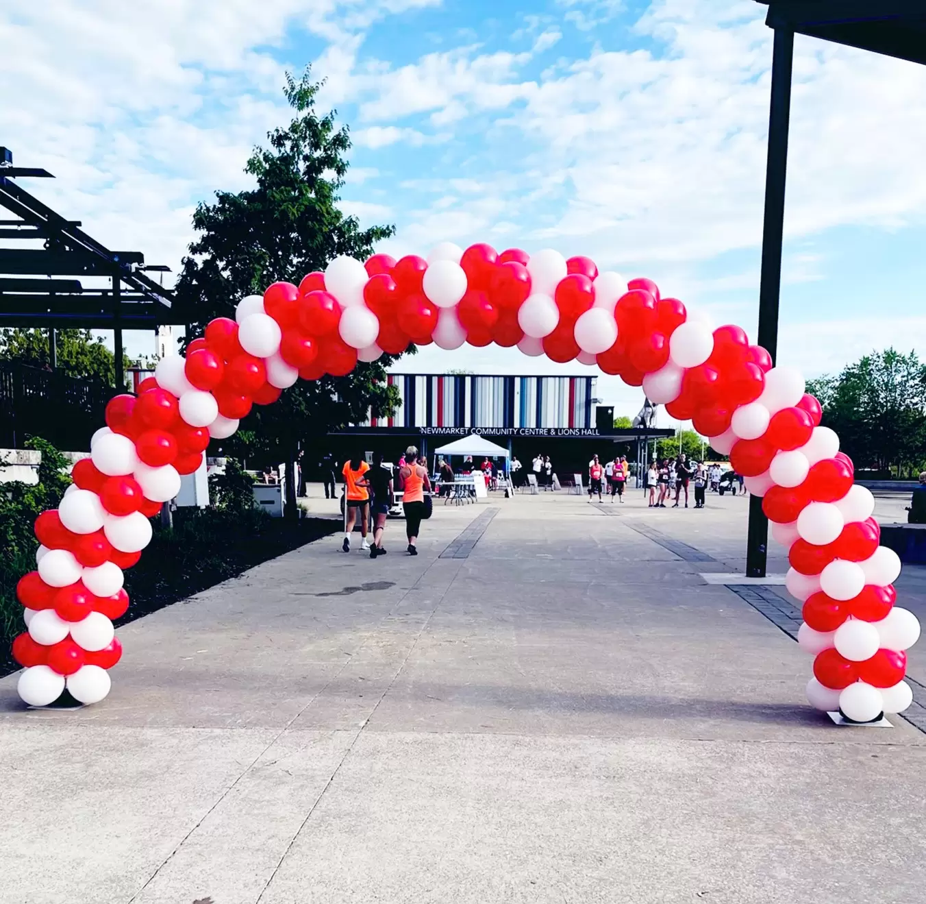 Balloon Arch 24 feet