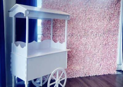 stouffville blush flower wall rental