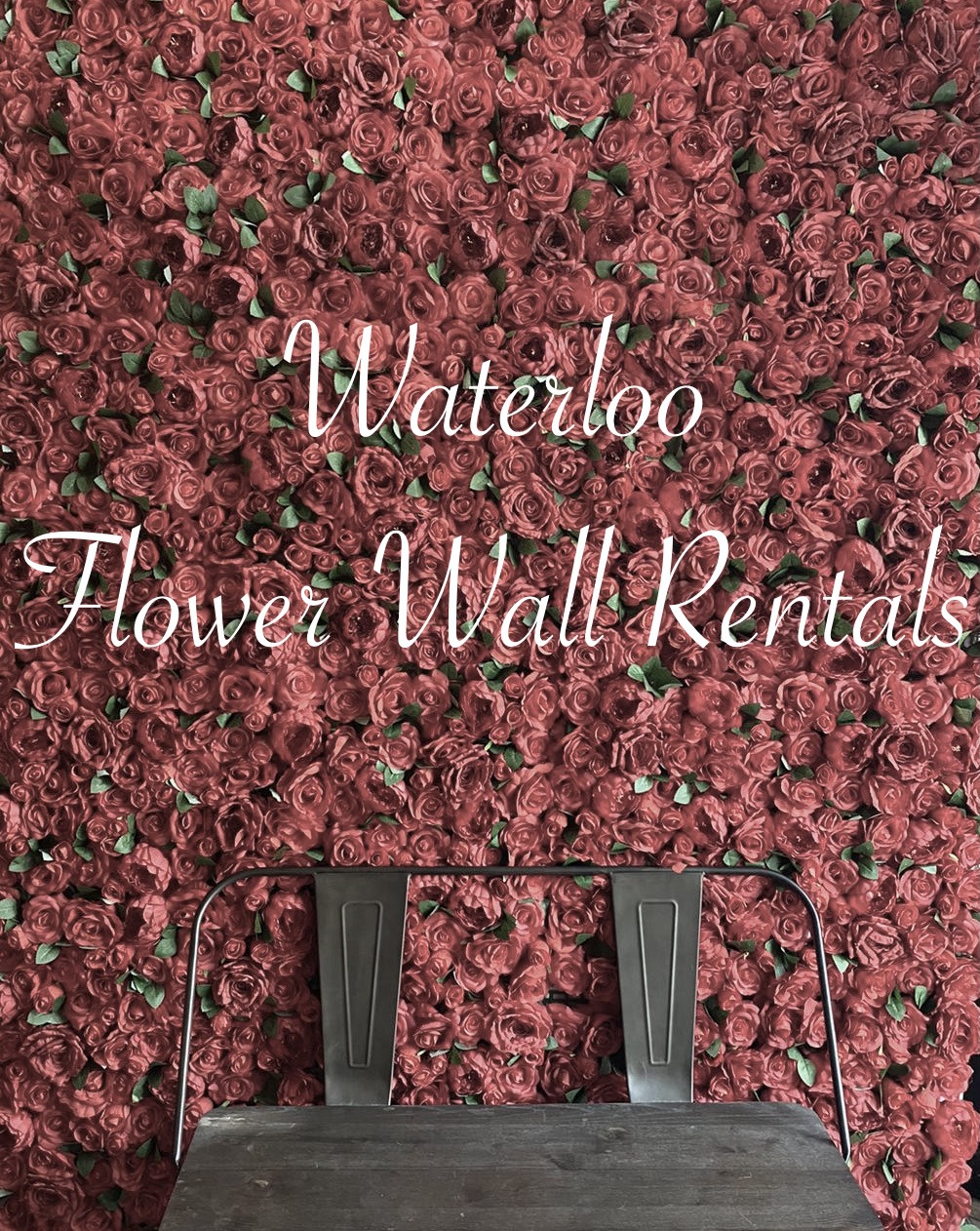 waterloo flower wall rental company