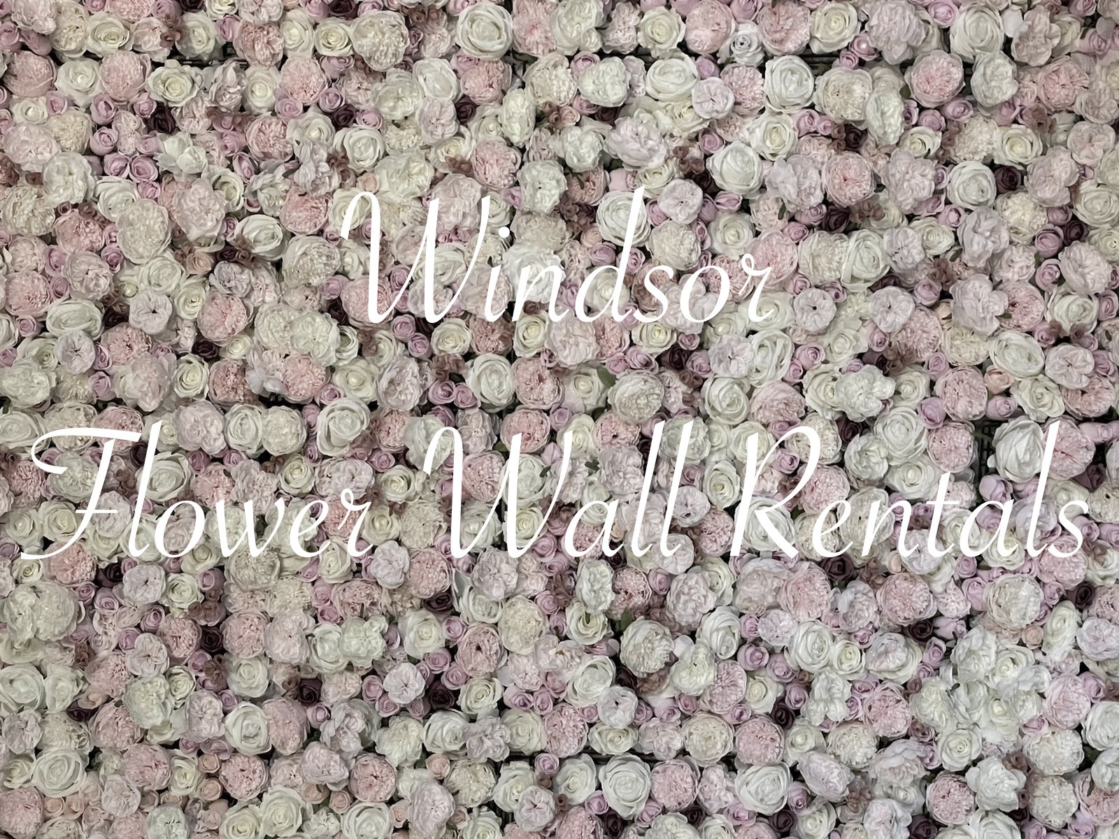 Windsor flower wall rental
