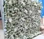 garden-green-flower-wall-rental