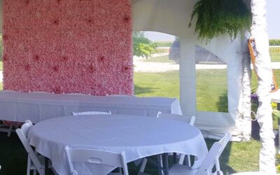 Niagara Falls Pink Blush Bridal Shower Flower Wall Ideas