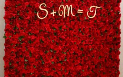 Why Rent Oakville Red Rose Flower Wall
