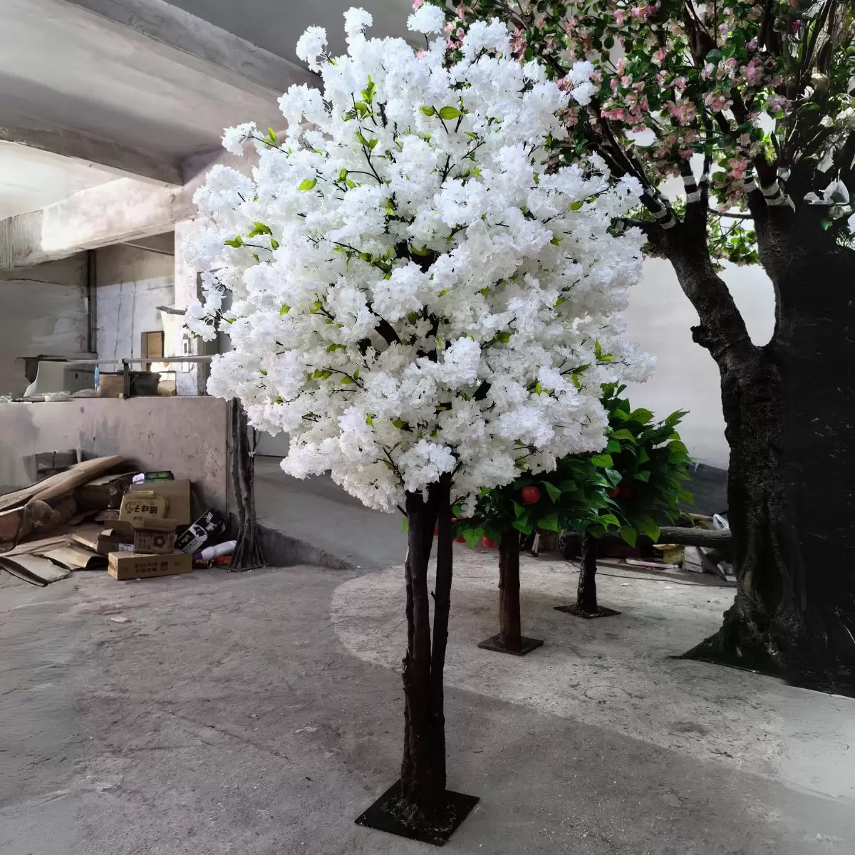 White Cherry Blossom Tree