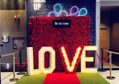Mississauga Flower Wall Company