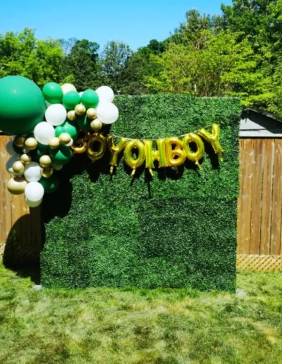 North York Green Boxwood Rental Company