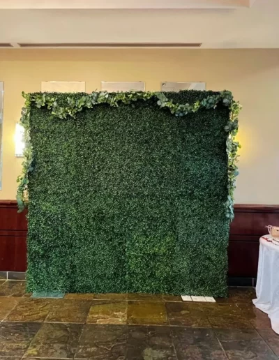 North York Green Boxwood Rental Company