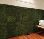 green-boxwood-824-backdrop