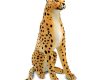 large-cheetah-stuffed-animal